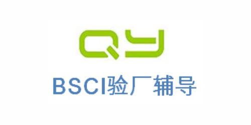 ICS验厂2021全面解读与上海倾禹企业管理咨询的专业服务推荐