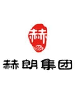 河南赫朗企业管理咨询集团 专业护航企业发展的智慧伙伴